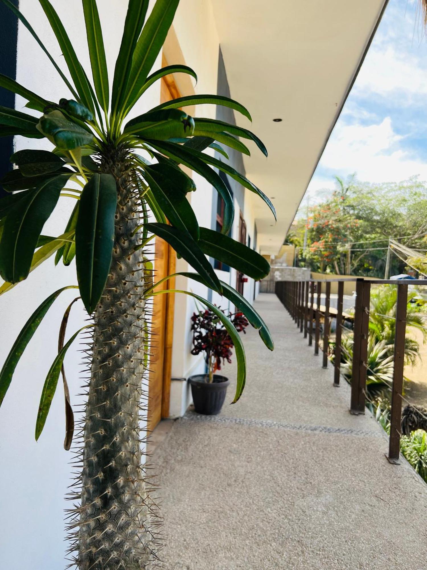 Hotel Samanu Sayulita Zewnętrze zdjęcie
